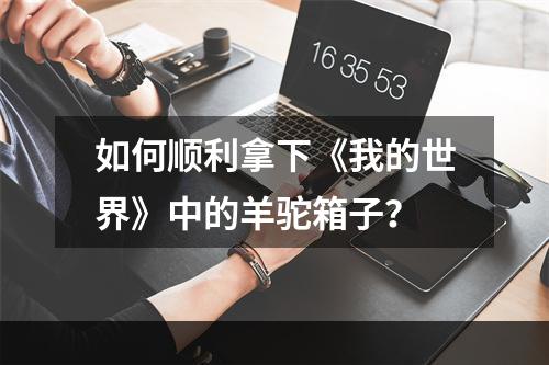 如何顺利拿下《我的世界》中的羊驼箱子？