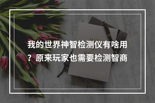 我的世界神智检测仪有啥用？原来玩家也需要检测智商