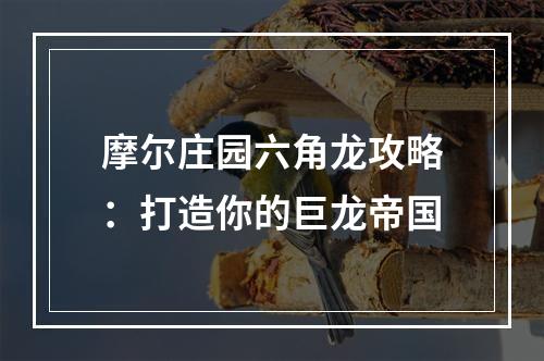 摩尔庄园六角龙攻略：打造你的巨龙帝国