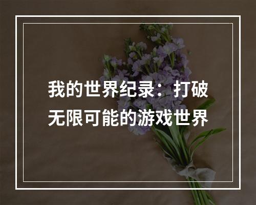 我的世界纪录：打破无限可能的游戏世界