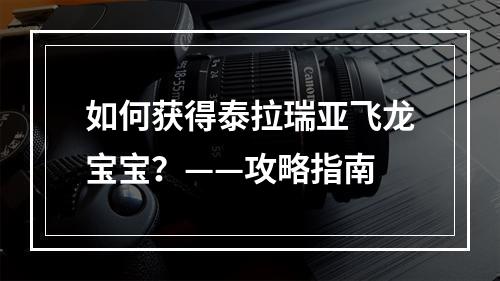 如何获得泰拉瑞亚飞龙宝宝？——攻略指南