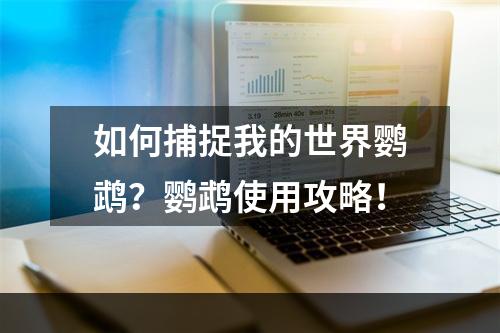 如何捕捉我的世界鹦鹉？鹦鹉使用攻略！