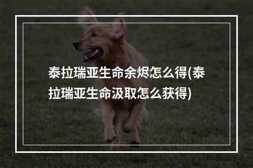 泰拉瑞亚生命余烬怎么得(泰拉瑞亚生命汲取怎么获得)