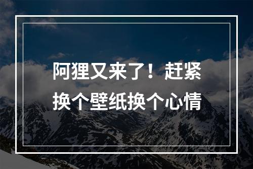 阿狸又来了！赶紧换个壁纸换个心情