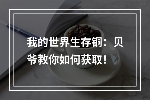 我的世界生存铜：贝爷教你如何获取！