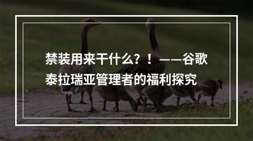 禁装用来干什么？！——谷歌泰拉瑞亚管理者的福利探究