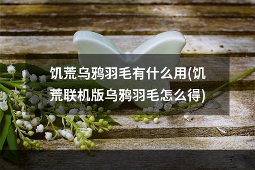 饥荒乌鸦羽毛有什么用(饥荒联机版乌鸦羽毛怎么得)