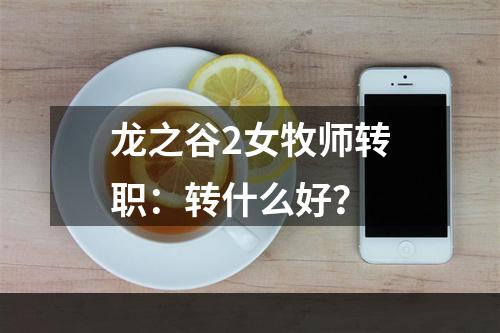 龙之谷2女牧师转职：转什么好？