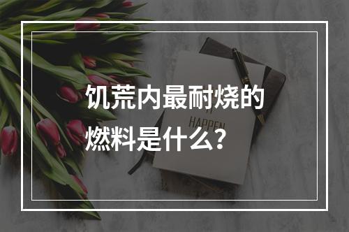 饥荒内最耐烧的燃料是什么？