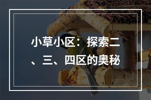 小草小区：探索二、三、四区的奥秘