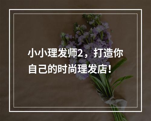 小小理发师2，打造你自己的时尚理发店！