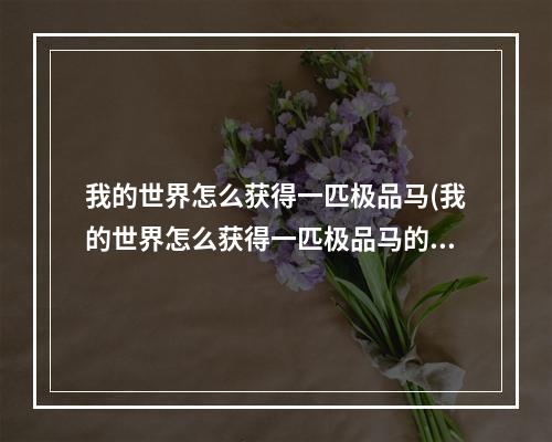 我的世界怎么获得一匹极品马(我的世界怎么获得一匹极品马的指令)