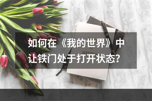 如何在《我的世界》中让铁门处于打开状态？