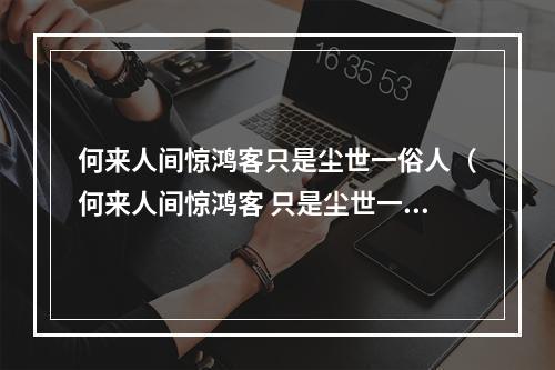 何来人间惊鸿客只是尘世一俗人（何来人间惊鸿客 只是尘世一俗人）