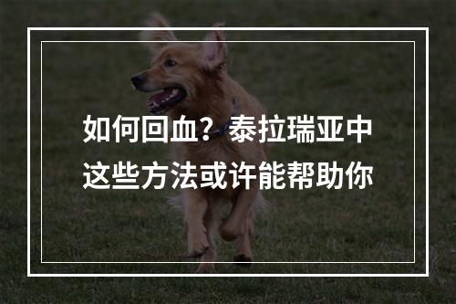 如何回血？泰拉瑞亚中这些方法或许能帮助你