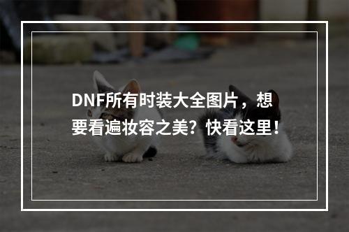 DNF所有时装大全图片，想要看遍妆容之美？快看这里！