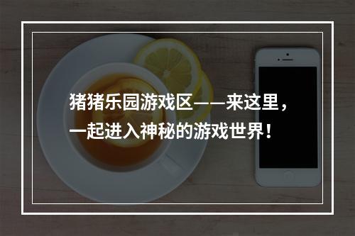 猪猪乐园游戏区——来这里，一起进入神秘的游戏世界！