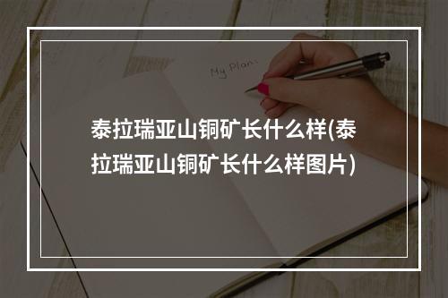 泰拉瑞亚山铜矿长什么样(泰拉瑞亚山铜矿长什么样图片)