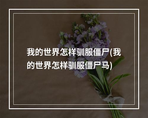 我的世界怎样驯服僵尸(我的世界怎样驯服僵尸马)