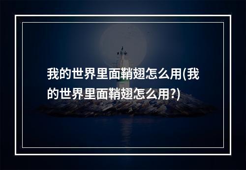 我的世界里面鞘翅怎么用(我的世界里面鞘翅怎么用?)