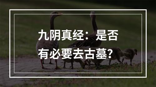 九阴真经：是否有必要去古墓？