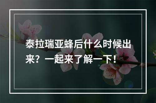 泰拉瑞亚蜂后什么时候出来？一起来了解一下！