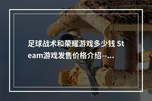 足球战术和荣耀游戏多少钱 Steam游戏发售价格介绍--游戏攻略网