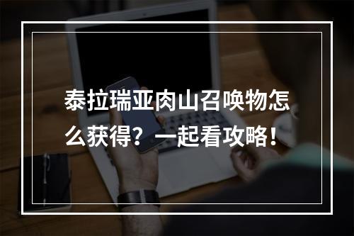 泰拉瑞亚肉山召唤物怎么获得？一起看攻略！