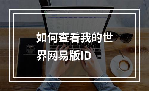 如何查看我的世界网易版ID