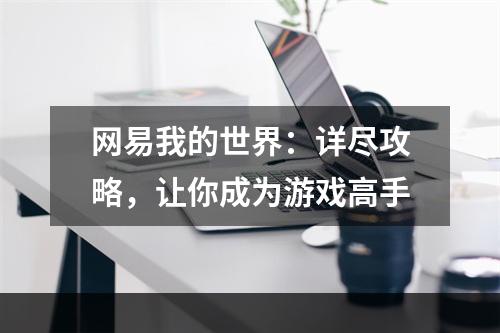 网易我的世界：详尽攻略，让你成为游戏高手