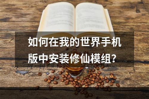 如何在我的世界手机版中安装修仙模组？