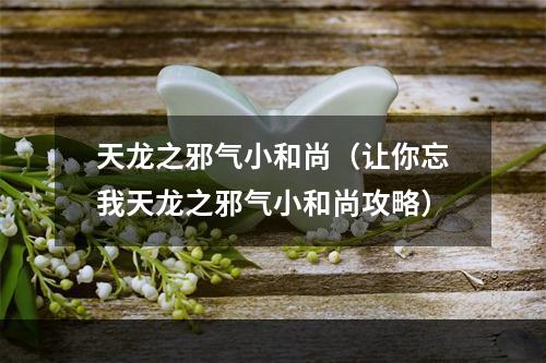 天龙之邪气小和尚（让你忘我天龙之邪气小和尚攻略）