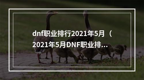 dnf职业排行2021年5月（2021年5月DNF职业排行榜出炉：独孤求败再度登顶！）