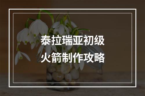 泰拉瑞亚初级火箭制作攻略