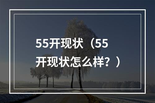 55开现状（55开现状怎么样？）