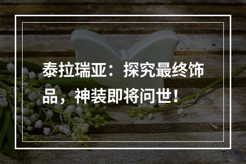 泰拉瑞亚：探究最终饰品，神装即将问世！