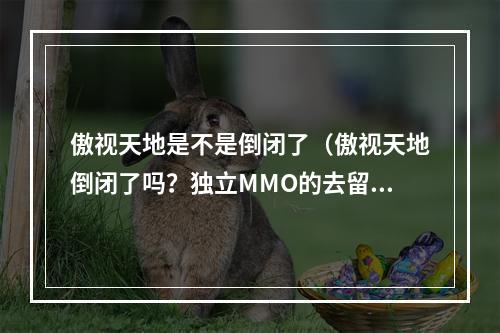 傲视天地是不是倒闭了（傲视天地倒闭了吗？独立MMO的去留存亡）