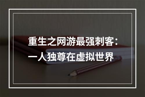 重生之网游最强刺客：一人独尊在虚拟世界