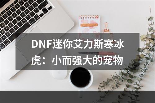 DNF迷你艾力斯寒冰虎：小而强大的宠物