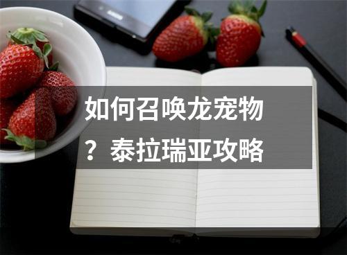 如何召唤龙宠物？泰拉瑞亚攻略