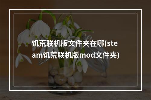 饥荒联机版文件夹在哪(steam饥荒联机版mod文件夹)