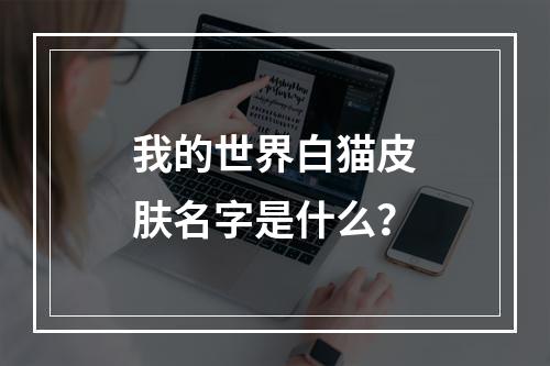 我的世界白猫皮肤名字是什么？