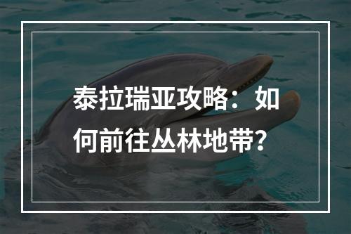 泰拉瑞亚攻略：如何前往丛林地带？