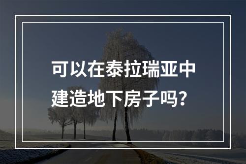 可以在泰拉瑞亚中建造地下房子吗？