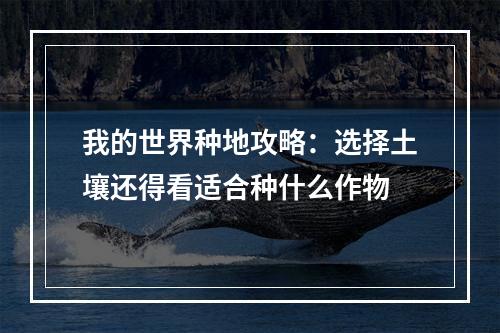 我的世界种地攻略：选择土壤还得看适合种什么作物