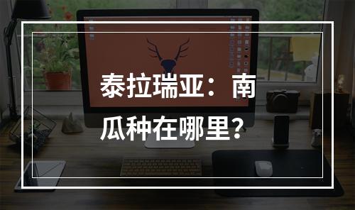 泰拉瑞亚：南瓜种在哪里？