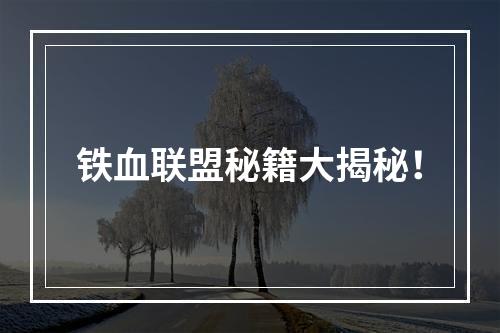 铁血联盟秘籍大揭秘！