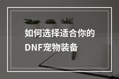 如何选择适合你的DNF宠物装备