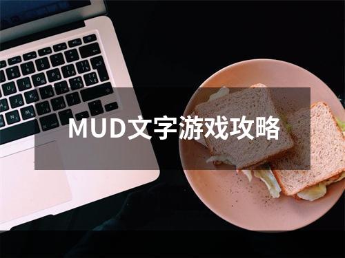 MUD文字游戏攻略