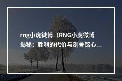 rng小虎微博（RNG小虎微博揭秘：胜利的代价与刻骨铭心的热血）